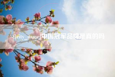 九江中国冠军品牌是真的吗