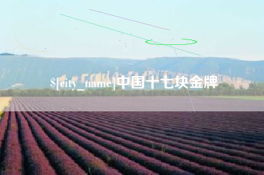 九江中国十七块金牌