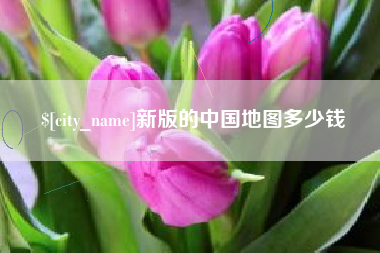 九江新版的中国地图多少钱