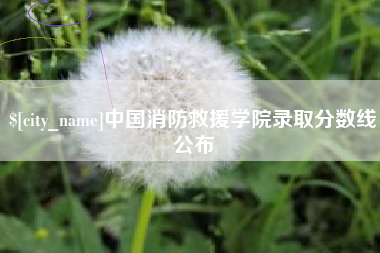 九江中国消防救援学院录取分数线公布