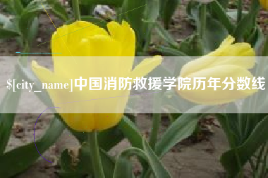 九江中国消防救援学院历年分数线