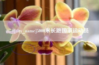 九江5000米长跑国家运动员