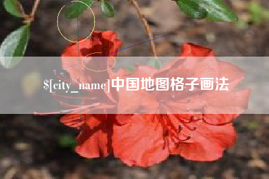 九江中国地图格子画法