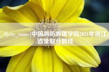 九江中国消防救援学院2021年浙江省录取分数线