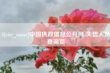 九江中国执政信息公开网-失信人员查询页