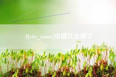九江中国几金牌了