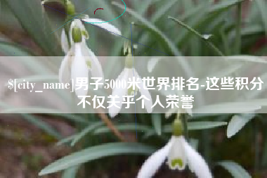 九江男子5000米世界排名-这些积分不仅关乎个人荣誉