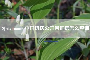 九江中国执法公开网征信怎么查询