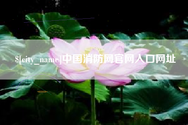 九江中国消防网官网入口网址