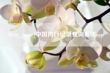 九江中国执行记录查询系统app