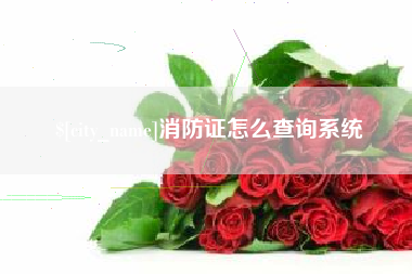 九江消防证怎么查询系统