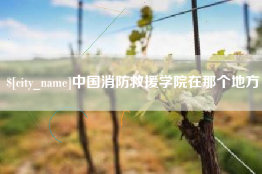 九江中国消防救援学院在那个地方
