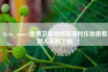九江免费卫星地图高清村庄地图看到人实时下载