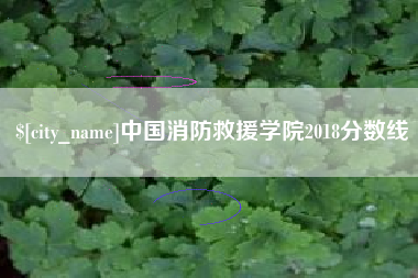 九江中国消防救援学院2018分数线