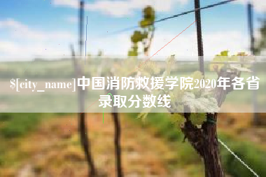 九江中国消防救援学院2020年各省录取分数线