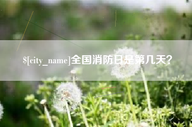 九江全国消防日是第几天？