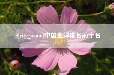 九江中国金牌排名前十名