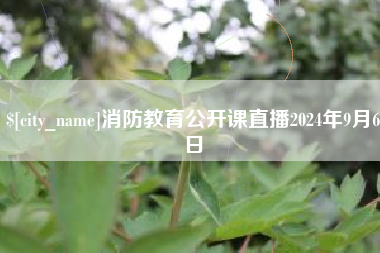 九江消防教育公开课直播2024年9月6日