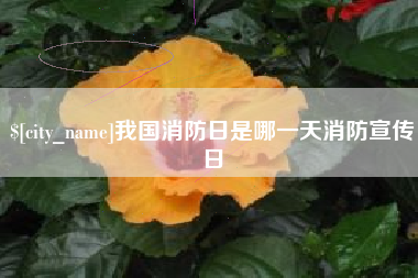 九江我国消防日是哪一天消防宣传日