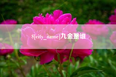 九江九金是谁