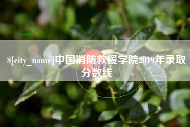 九江中国消防救援学院2019年录取分数线