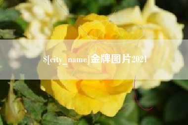 九江金牌图片2021