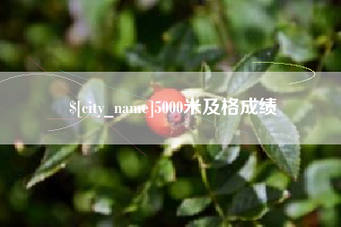 九江5000米及格成绩