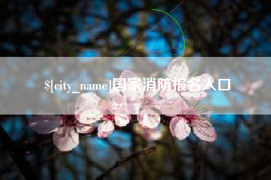 九江国家消防报名入口
