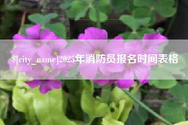 九江2025年消防员报名时间表格