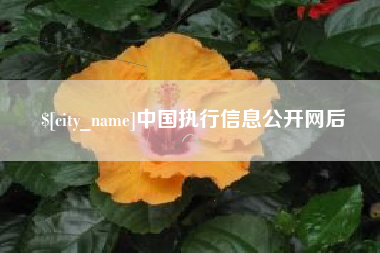 九江中国执行信息公开网后