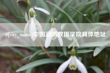 九江中国消防救援学院具体地址
