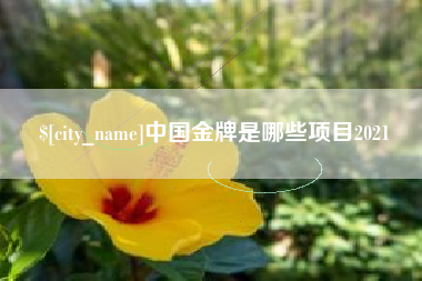 九江中国金牌是哪些项目2021