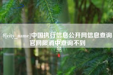 九江中国执行信息公开网信息查询官网限消中查询不到