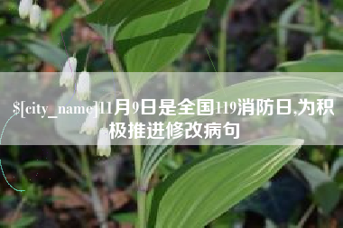 九江11月9日是全国119消防日,为积极推进修改病句