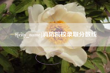 九江消防院校录取分数线