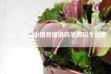 九江中国救援消防学院招生简章
