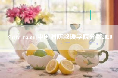 九江中国消防救援学院分数2020