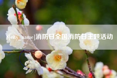 九江消防日全国消防日主题活动