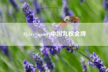 九江中国九枚金牌