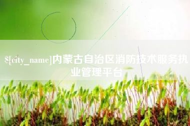 九江内蒙古自治区消防技术服务执业管理平台