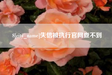 九江失信被执行官网查不到