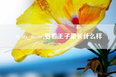 九江看看王子豪长什么样