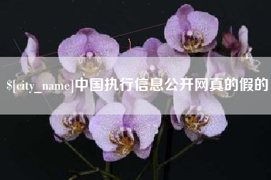 九江中国执行信息公开网真的假的