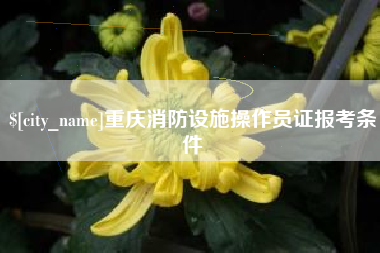 九江重庆消防设施操作员证报考条件
