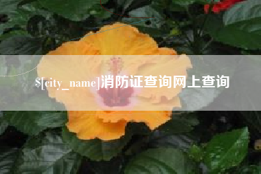 九江消防证查询网上查询