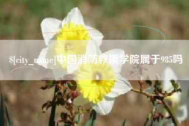 九江中国消防救援学院属于985吗