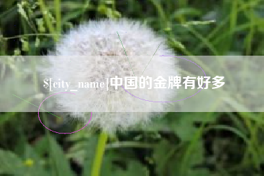 九江中国的金牌有好多