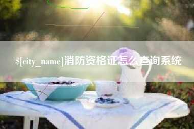 九江消防资格证怎么查询系统