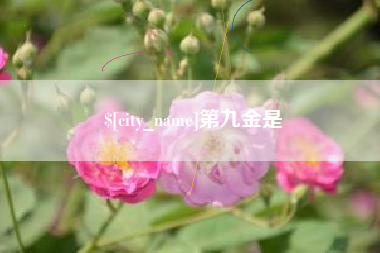 九江第九金是