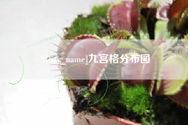九江九宫格分布图